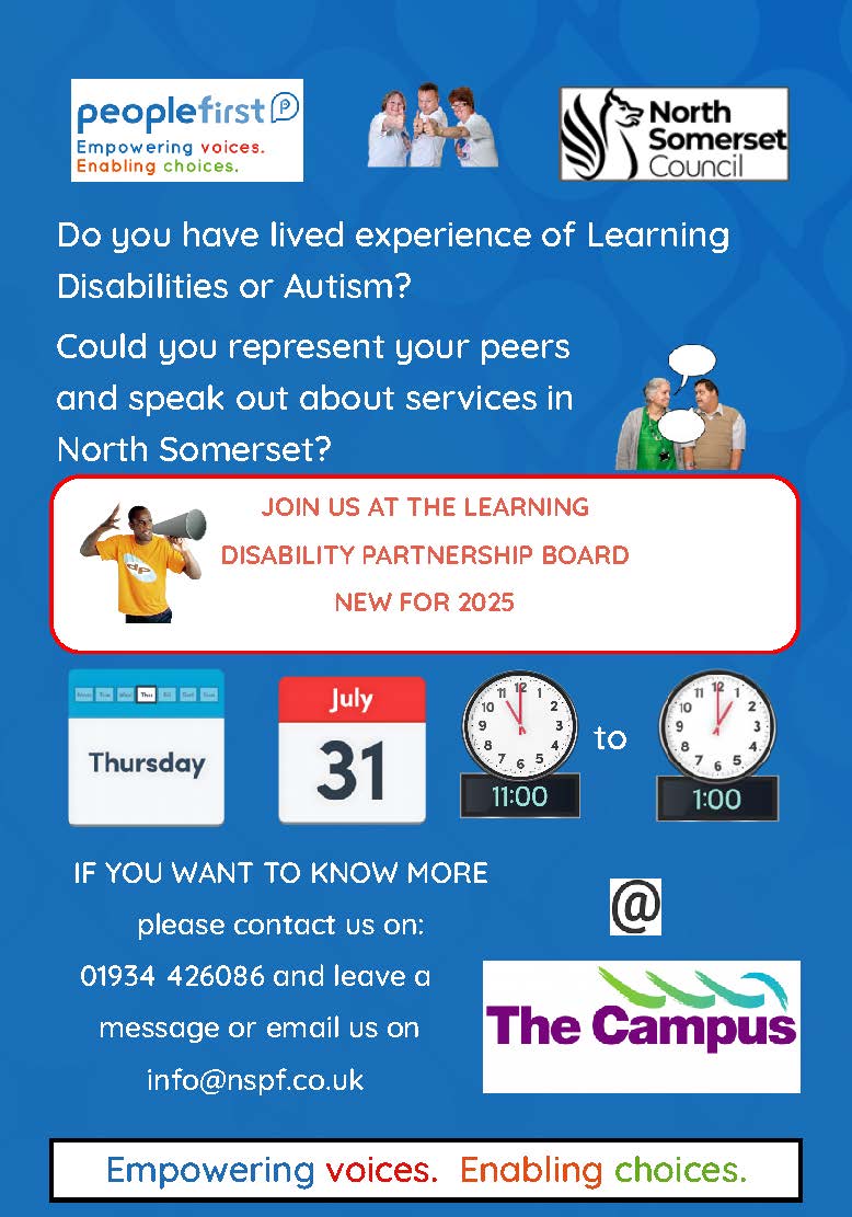 People First (North Somerset): North Somerset Learning Disability Partnership Board