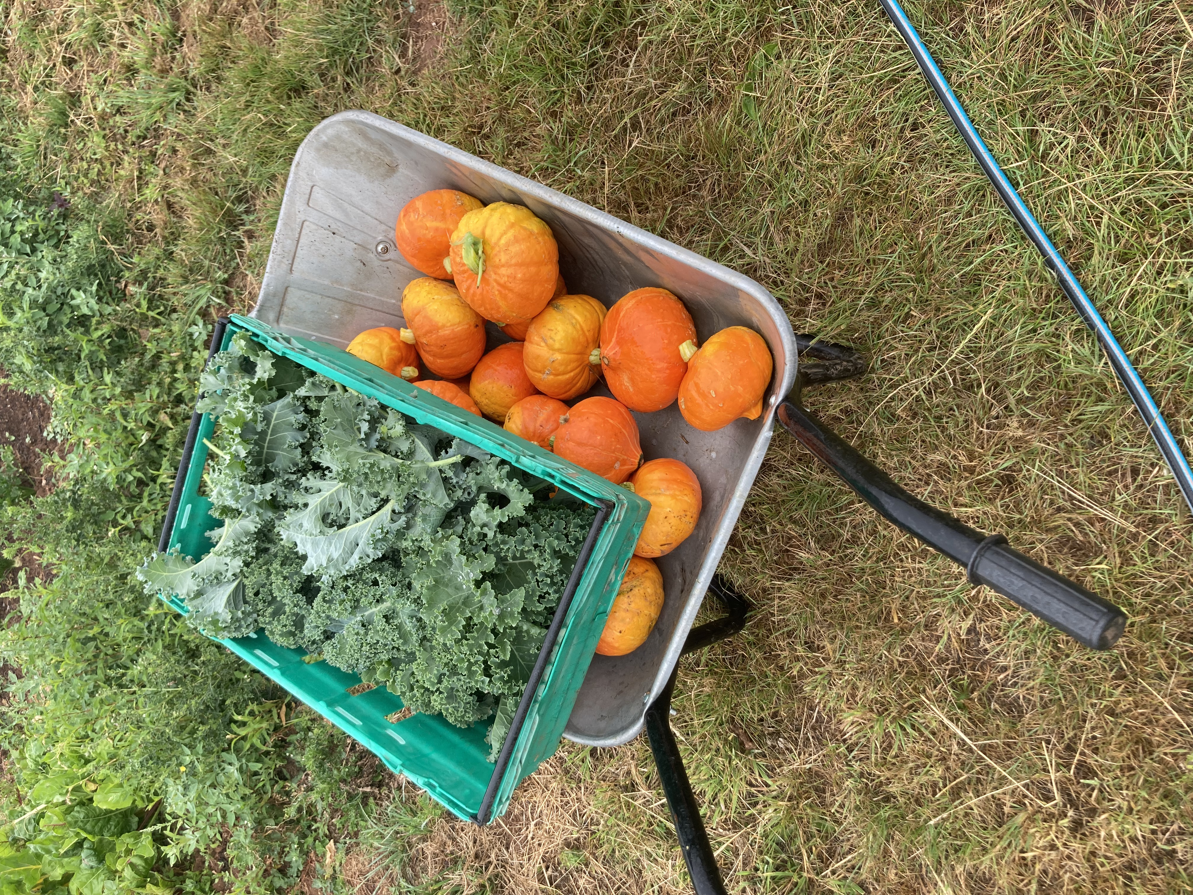 OTOutdoors CIC: Skill up in Nature Autumn Sessions
