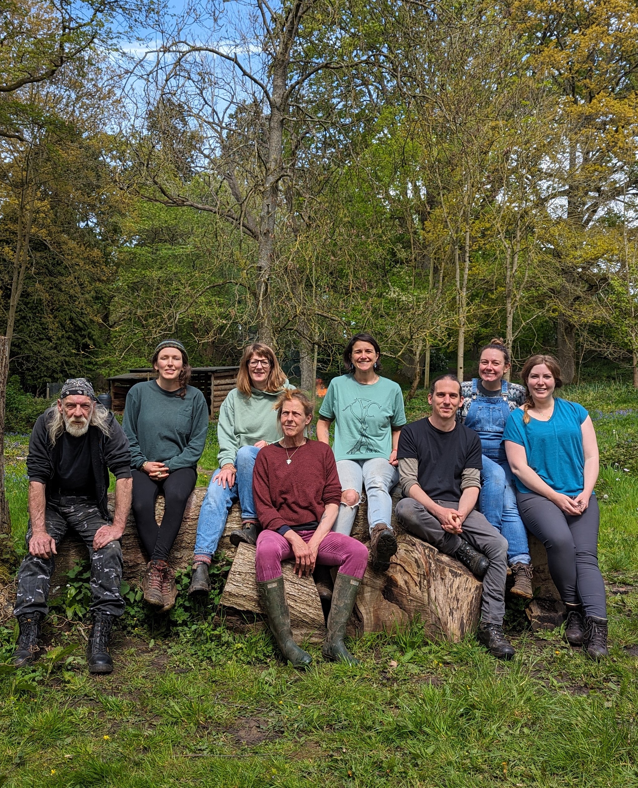 Torworth Forest Centre CIC: Could you be a Tortworth Arboretum trustee?