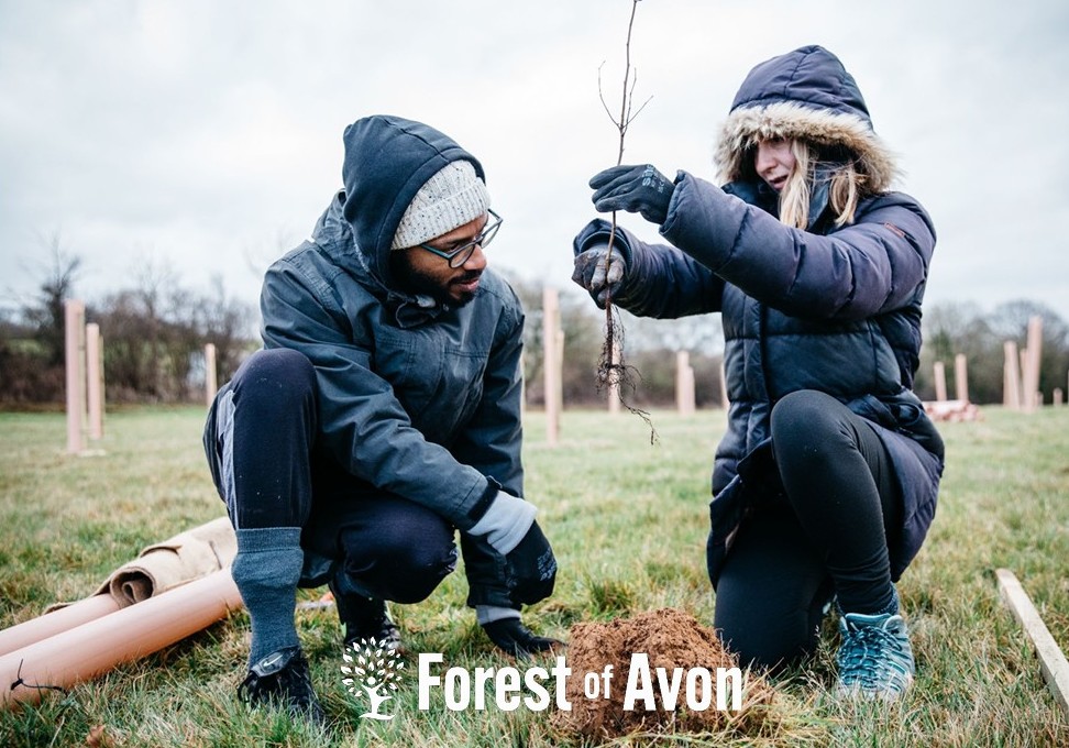 Forest of Avon Trust: We’re looking for a new Trustee to join our Board
